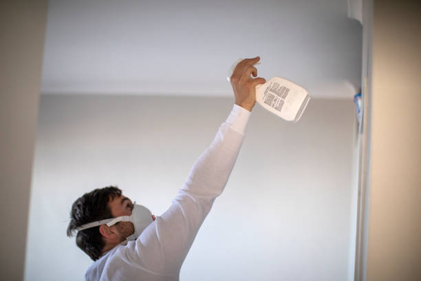 Best Mold Cleaning Services  in Lincolndale, NY