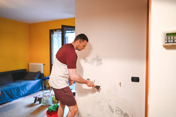 Best Same-Day Mold Removal  in Lincolndale, NY